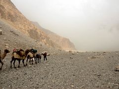 08 Bad Weather Is Coming In Wide Shaksgam Valley After Leaving Kerqin Camp On Trek To K2 North Face In China